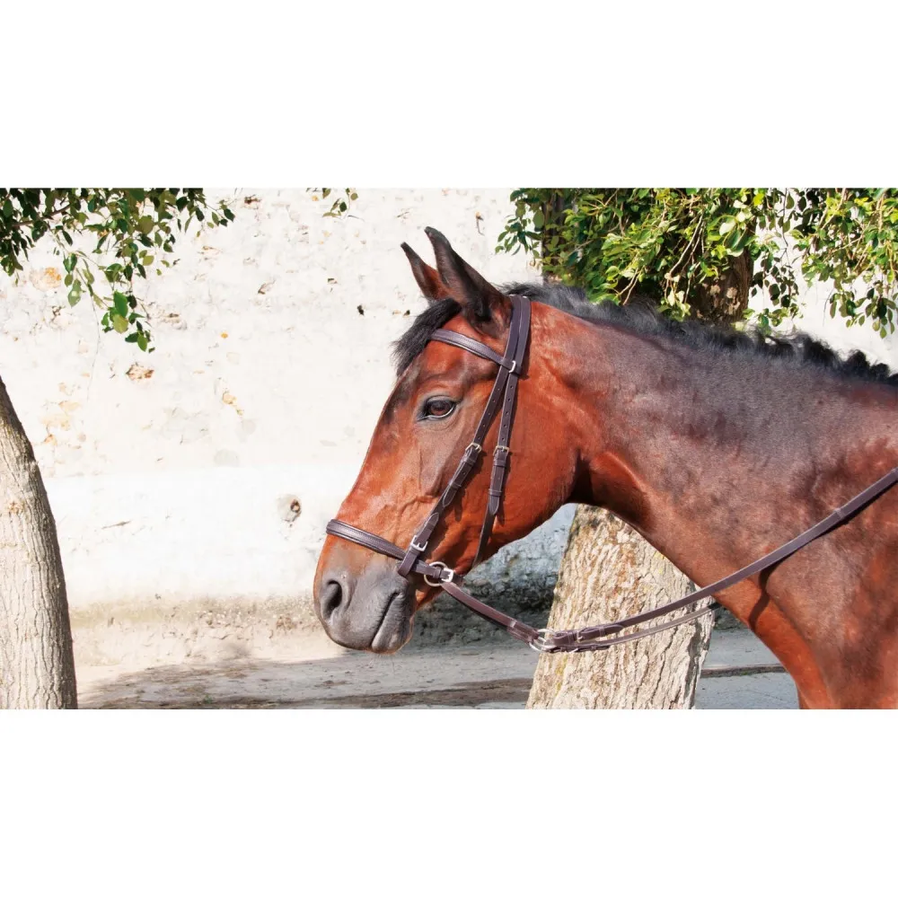 Bridon Bitless T de T pour cheval