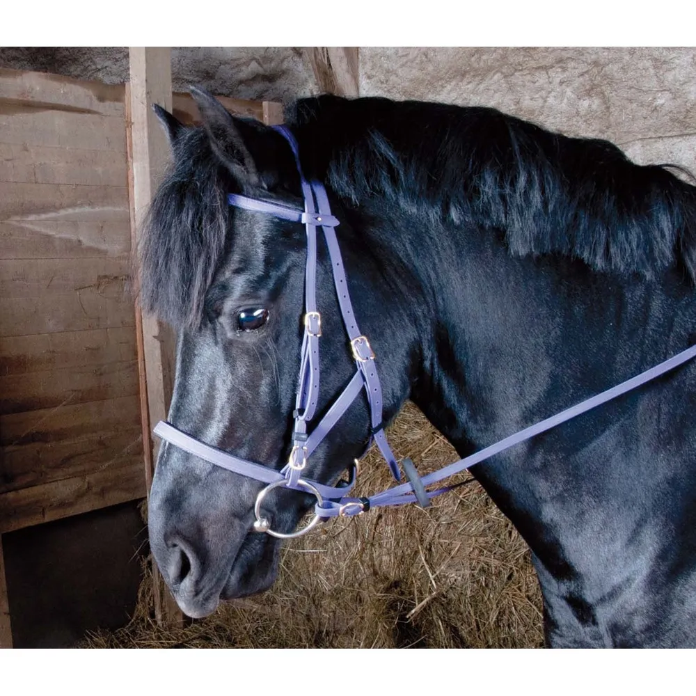 Bridon Licol Biotack T de T - Matériel d'Equitation