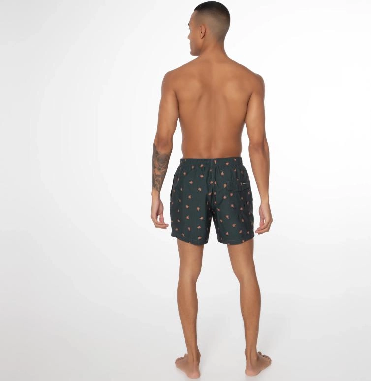 Short de Plage Protest Homme Aaiden Huntergreen