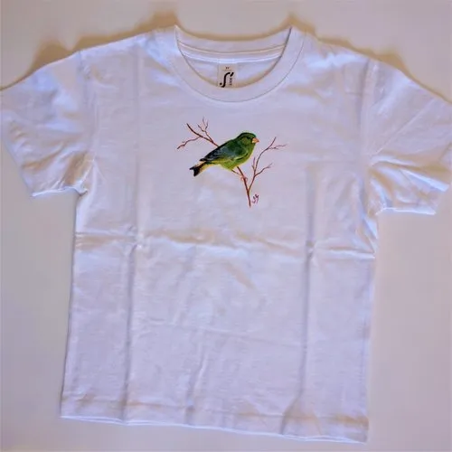 Tee shirt enfant blanc peint à la main oiseau verdier 6 ans